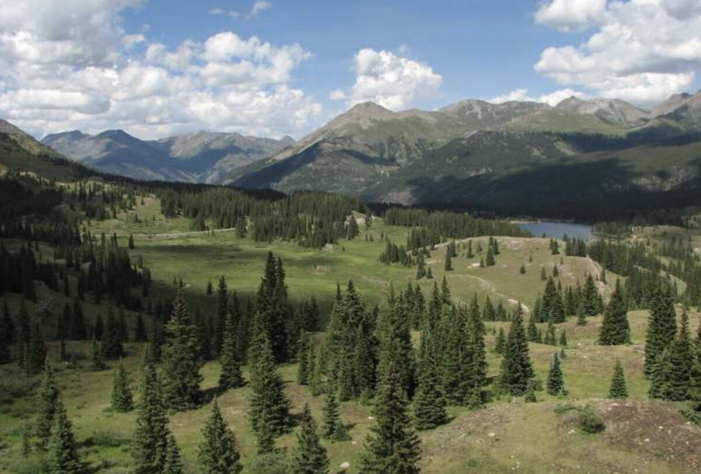 colarado meadow landscape